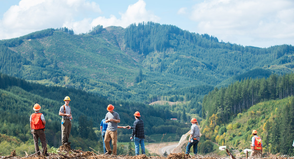 A group of forestry students learn outdoors on a sunny day.